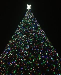 delray-beach-christmas-tree-lighting